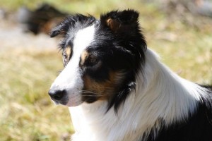 Ben